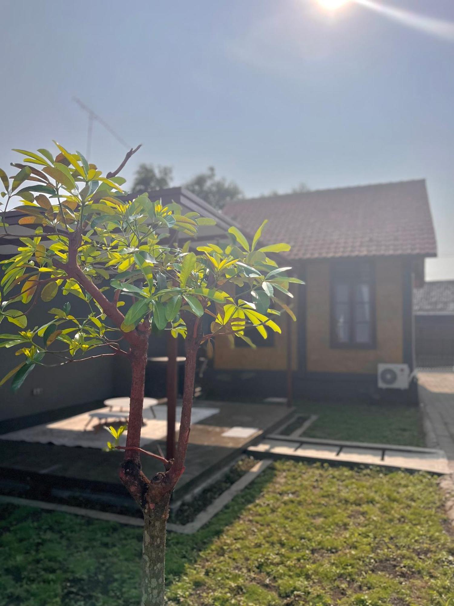 Joglo Homestay Banyuwangi Экстерьер фото